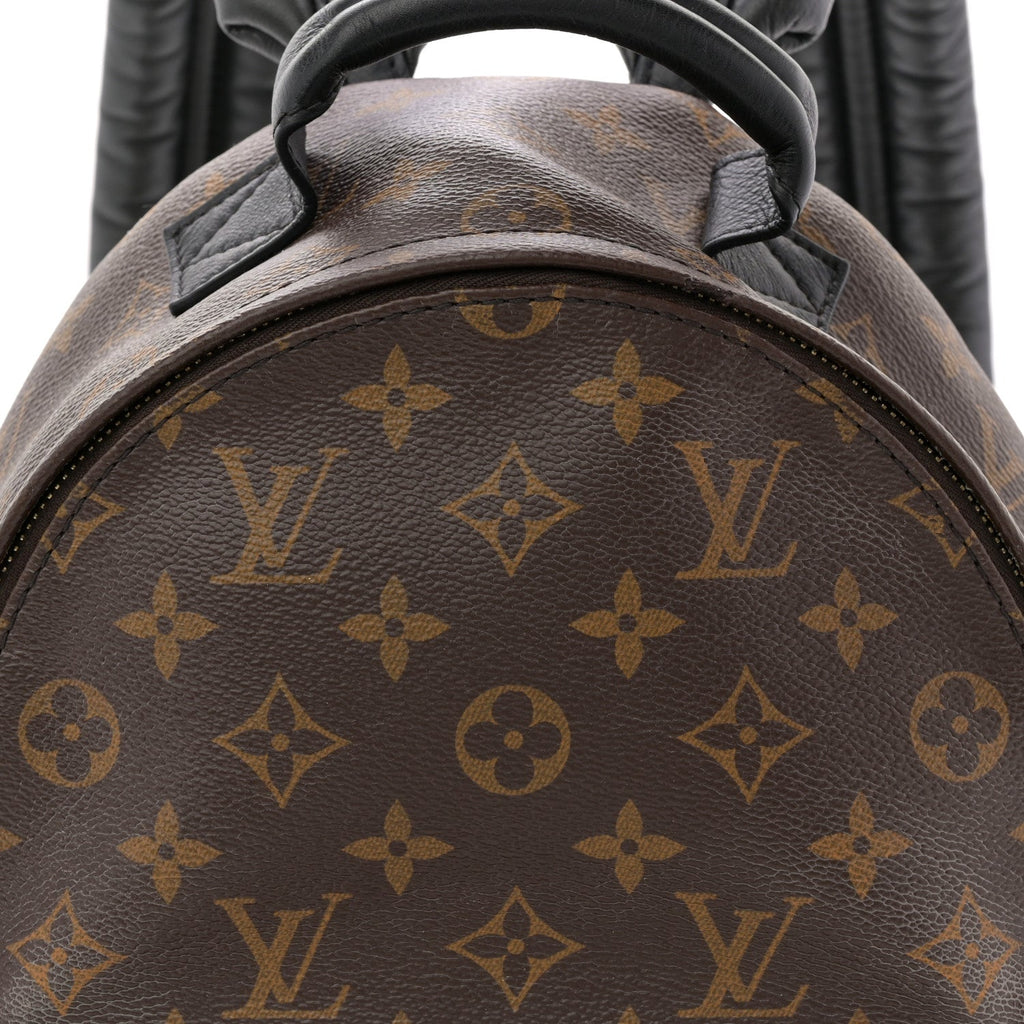 Monogram Palm Springs Backpack PM