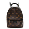 Monogram Palm Springs Backpack Mini