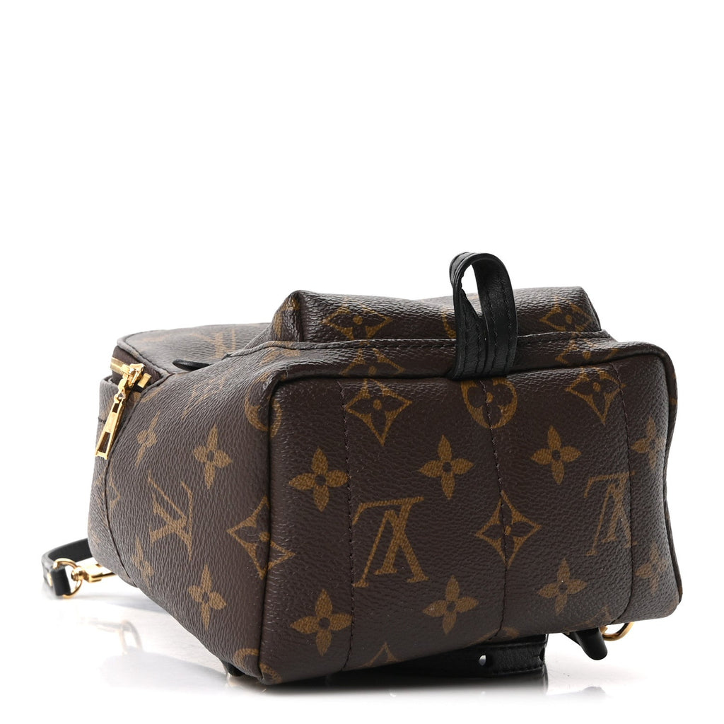 Monogram Palm Springs Backpack Mini