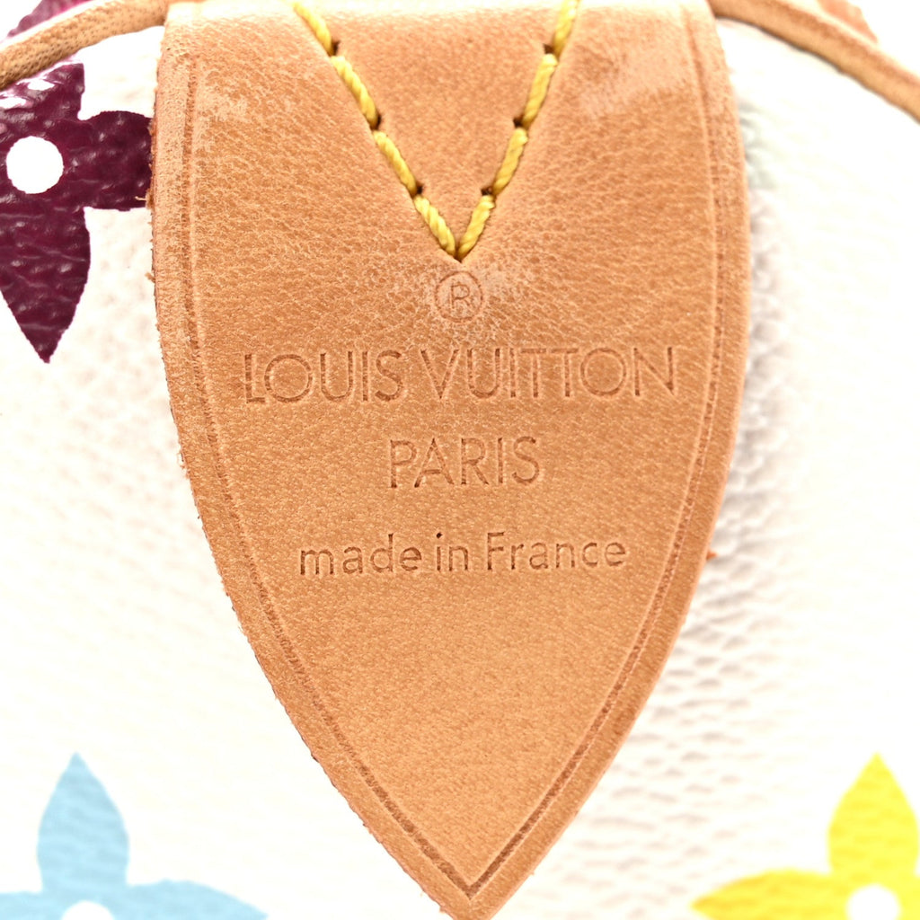 Monogram Multicolor Speedy 30 White