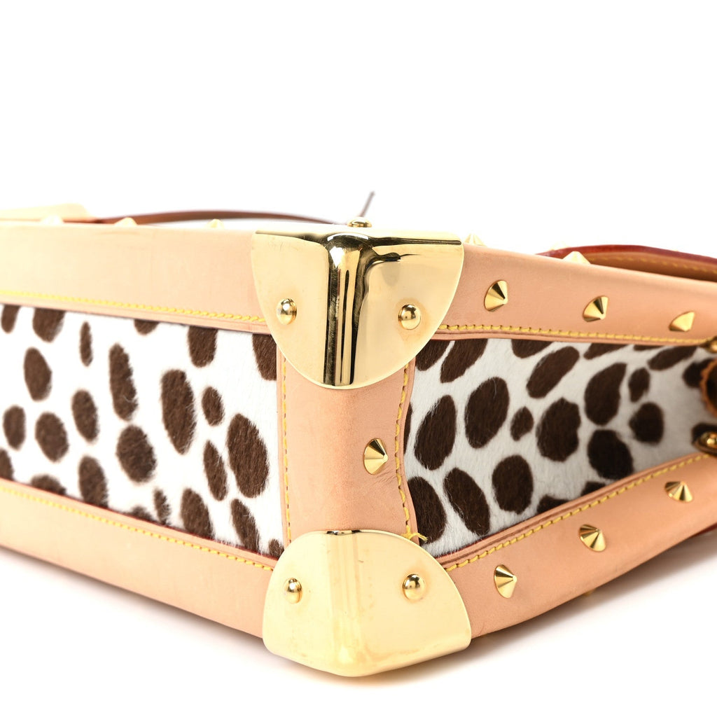 Monogram Multicolor Dalmatian Sac Rabat