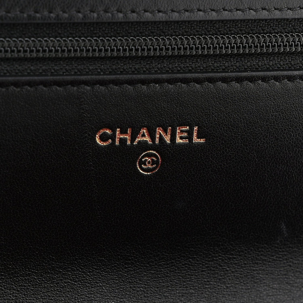 Lambskin Quilted Chanel 19 Wallet On Chain WOC Black