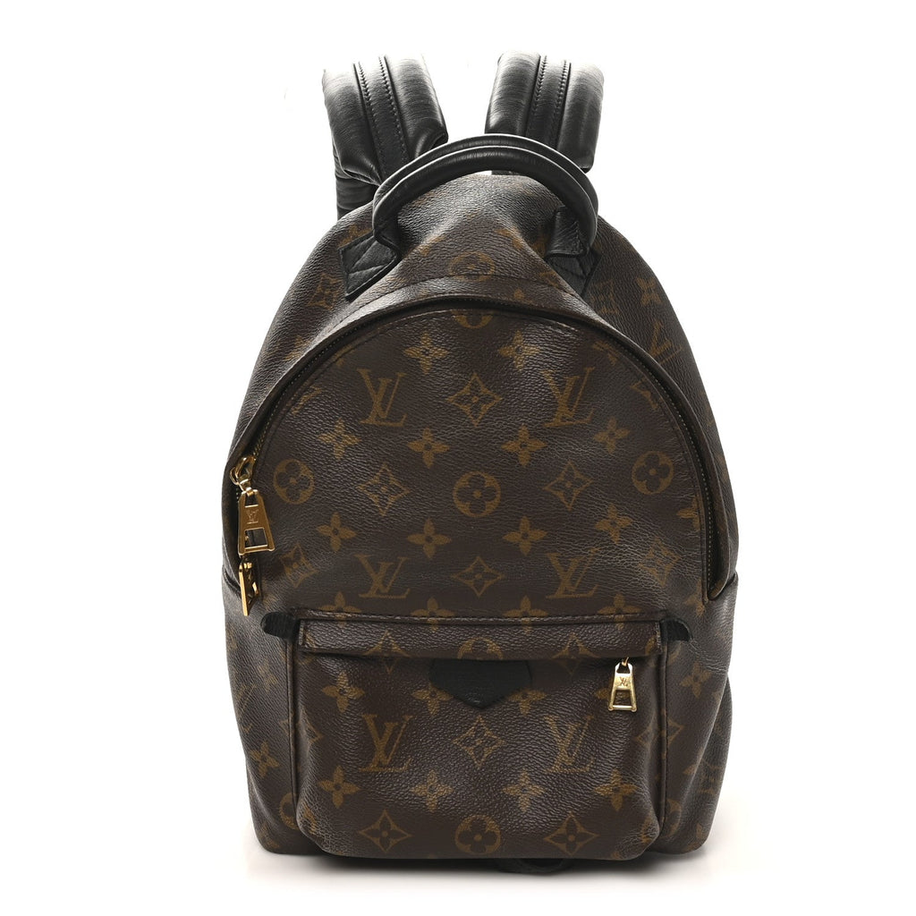 Monogram Palm Springs Backpack PM