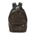 Monogram Palm Springs Backpack PM