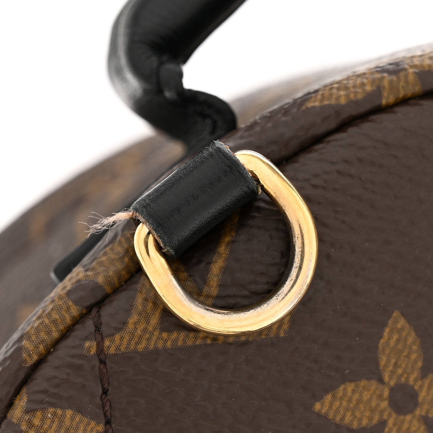 Monogram Palm Springs Backpack Mini