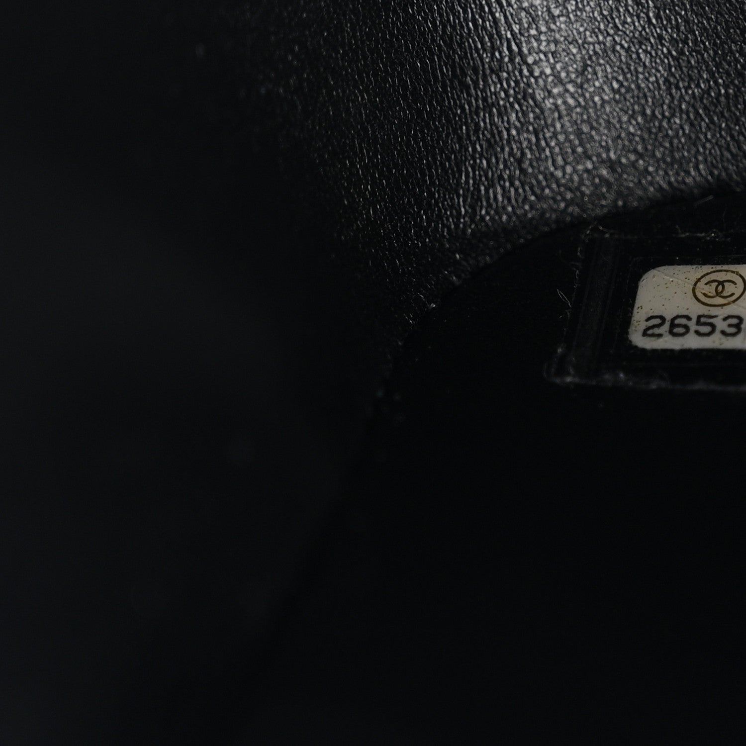 Lizard Mini Rectangular Flap Black