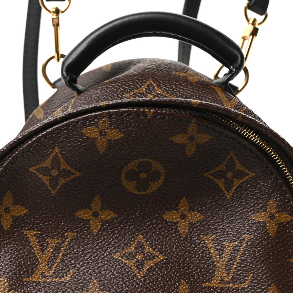 Monogram Palm Springs Backpack Mini