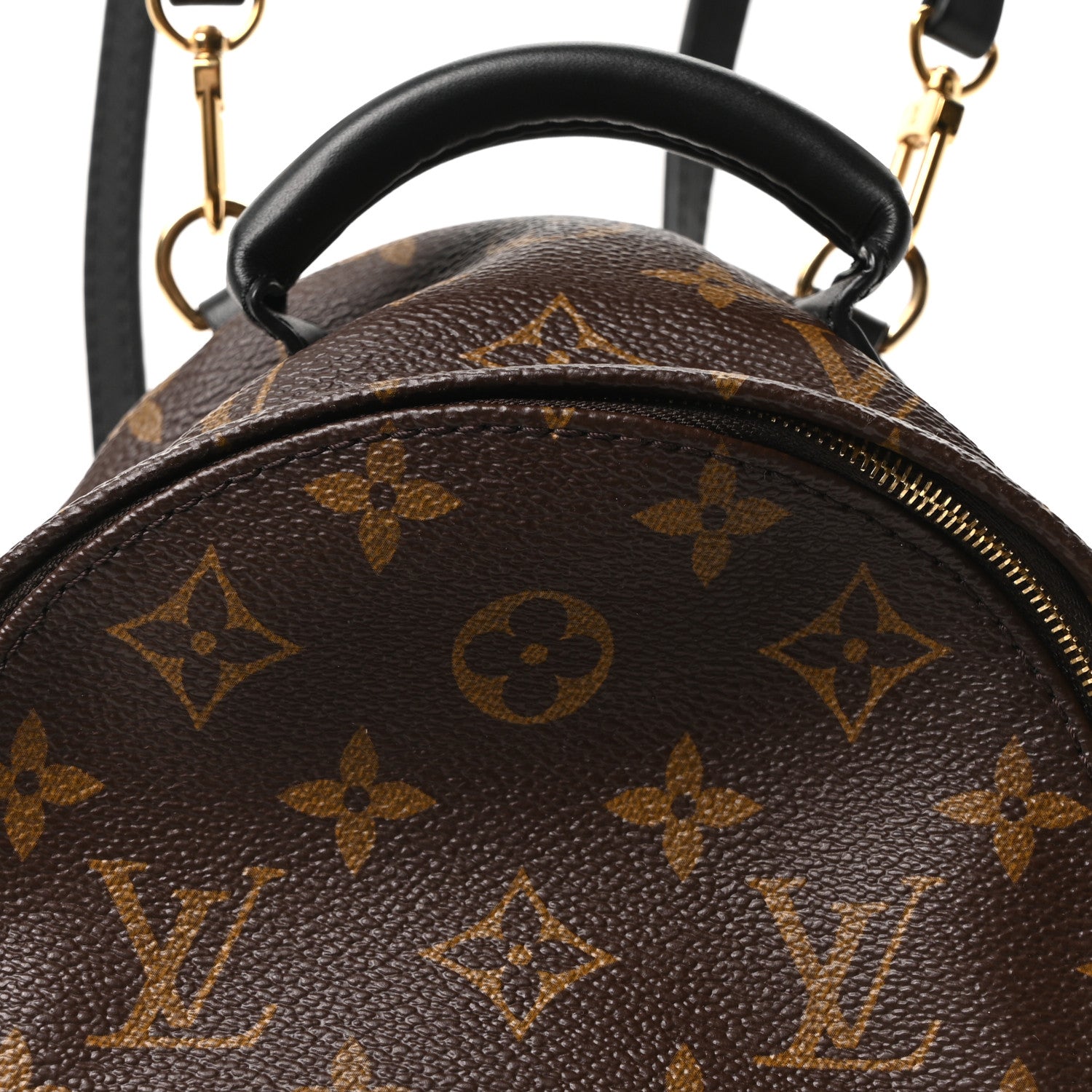 Monogram Palm Springs Backpack Mini