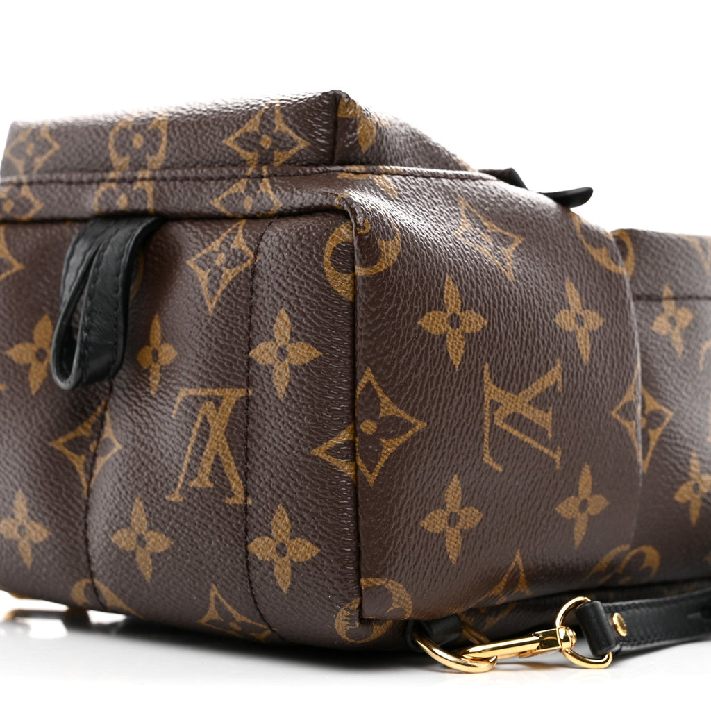 Monogram Palm Springs Backpack Mini
