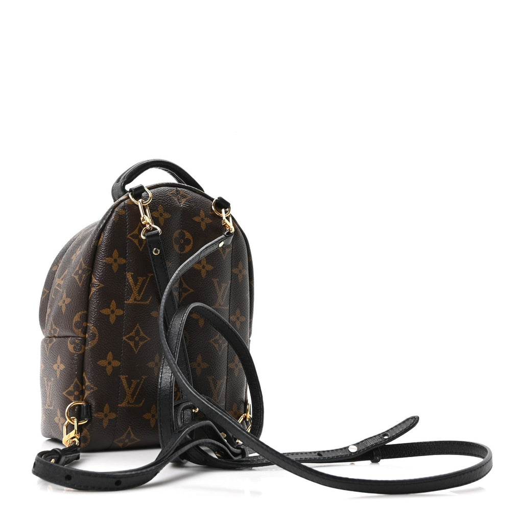 Monogram Palm Springs Backpack Mini