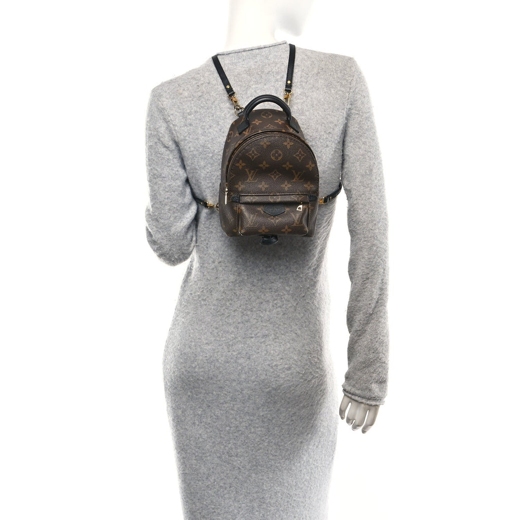 Monogram Palm Springs Backpack Mini