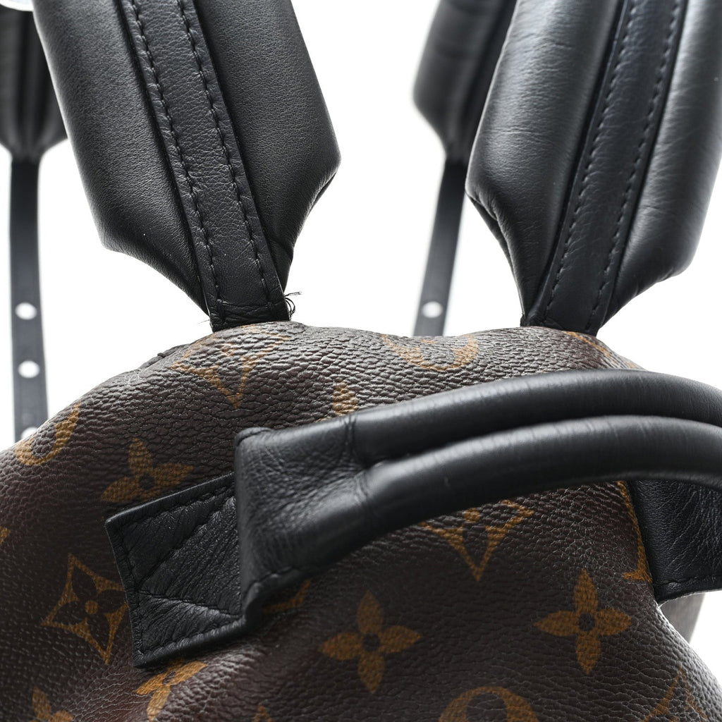 Monogram Palm Springs Backpack PM