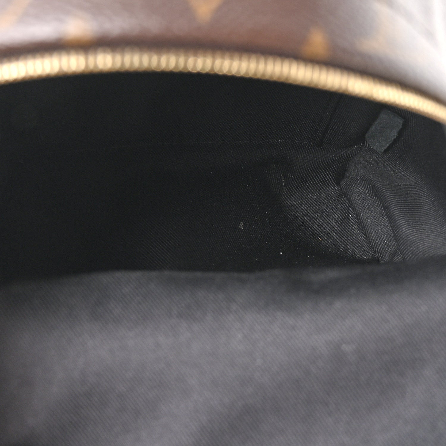 Monogram Palm Springs Backpack Mini