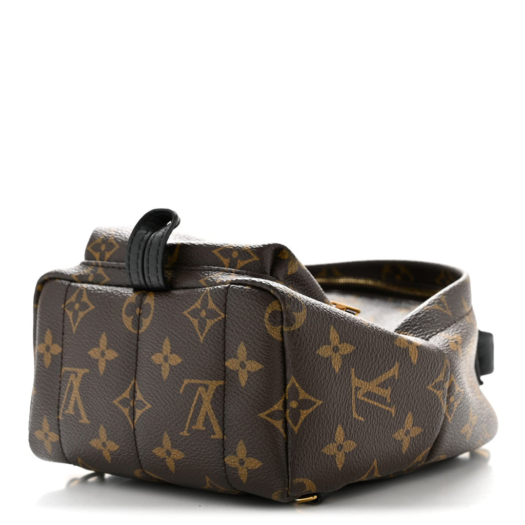 Monogram Palm Springs Backpack Mini