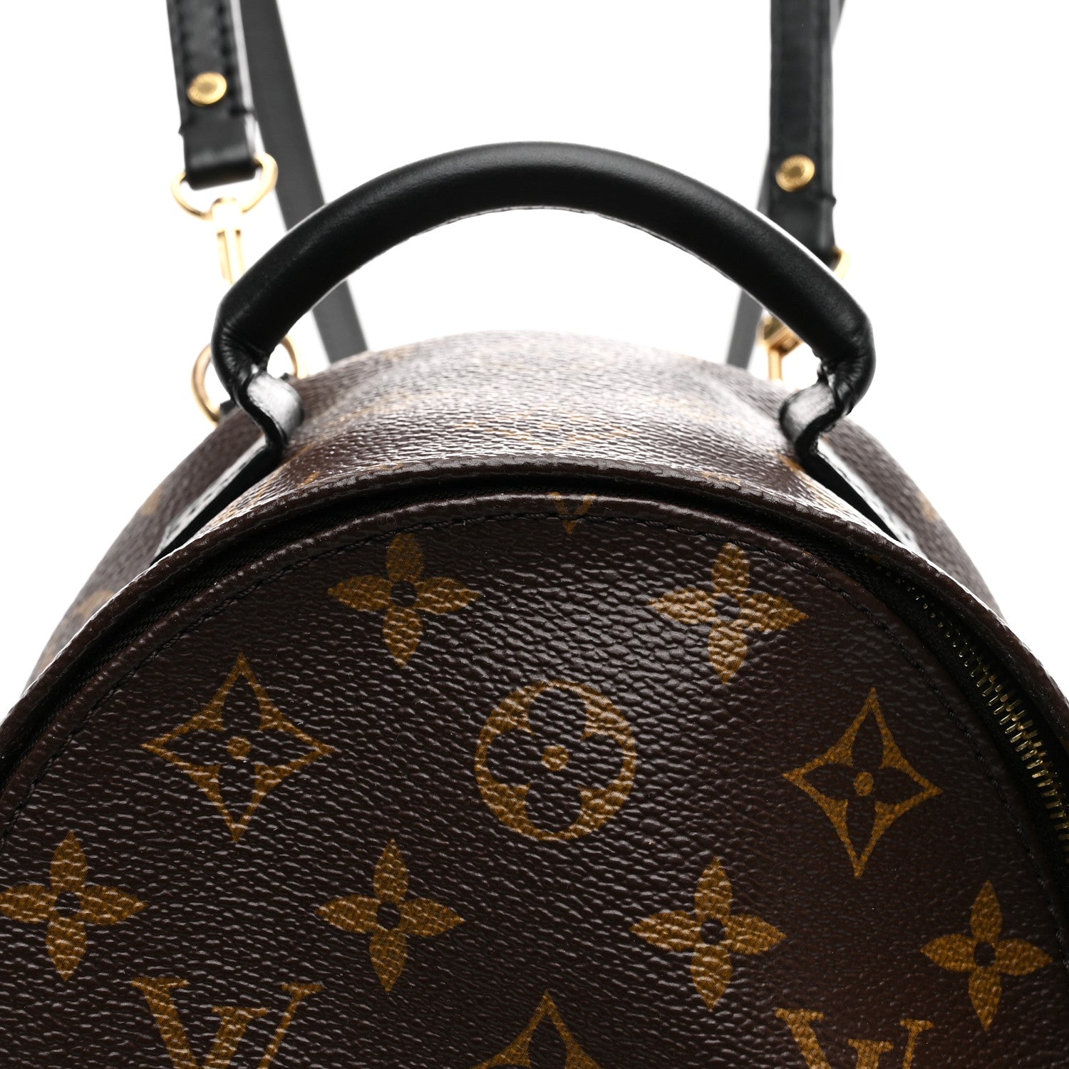 Monogram Palm Springs Backpack Mini