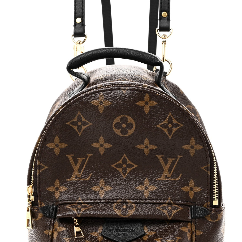 Monogram Palm Springs Backpack Mini