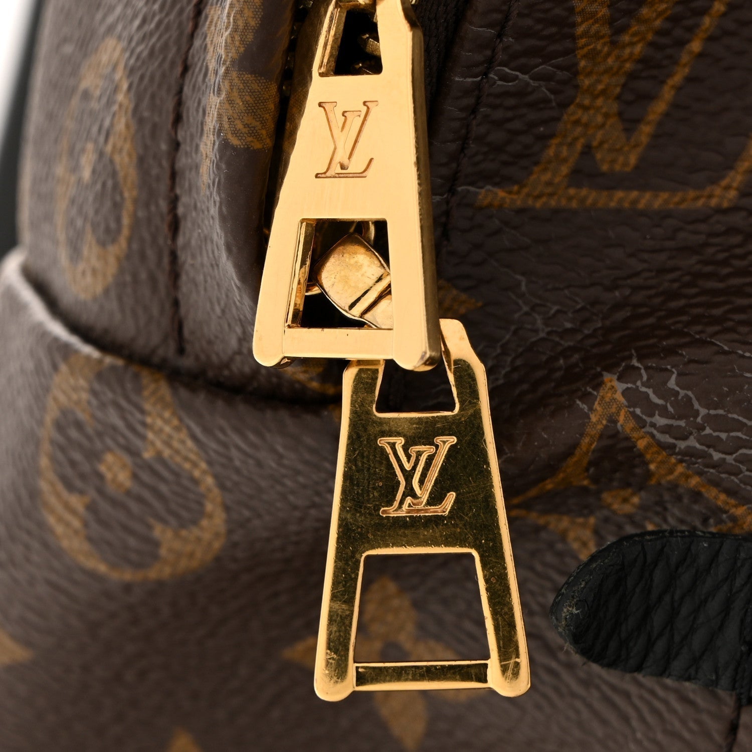 Monogram Palm Springs Backpack MM