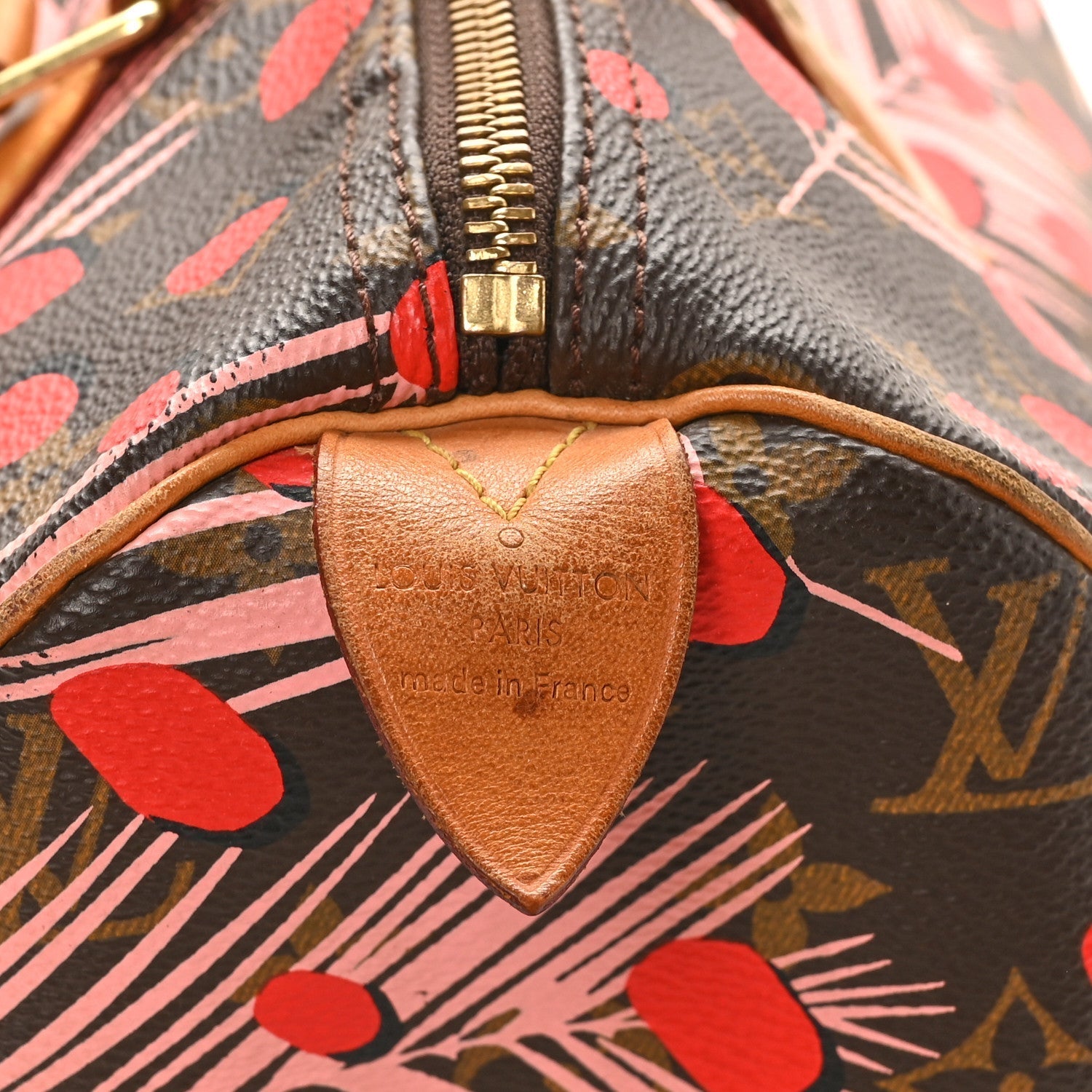 Monogram Jungle Dots Speedy 30 Sugar Pink Poppy