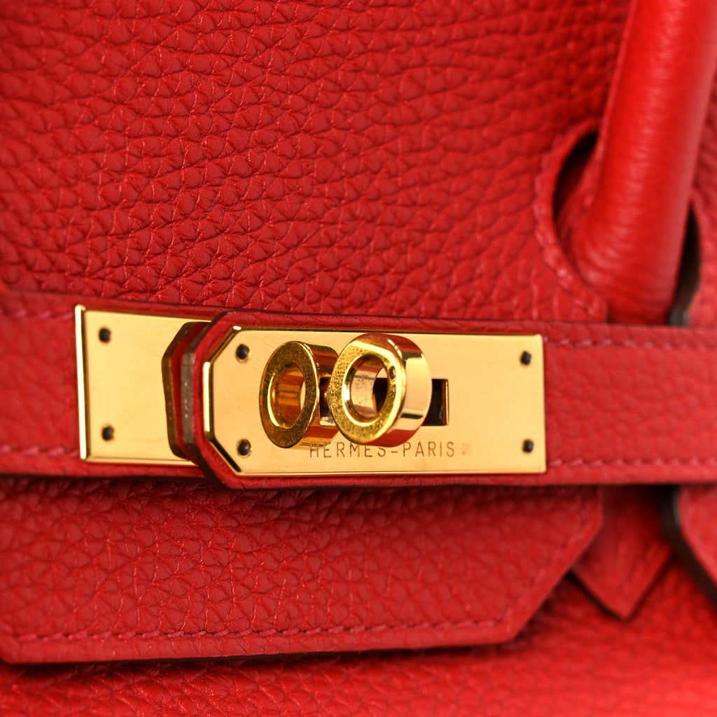 Togo BIRKIN 35 Geranium