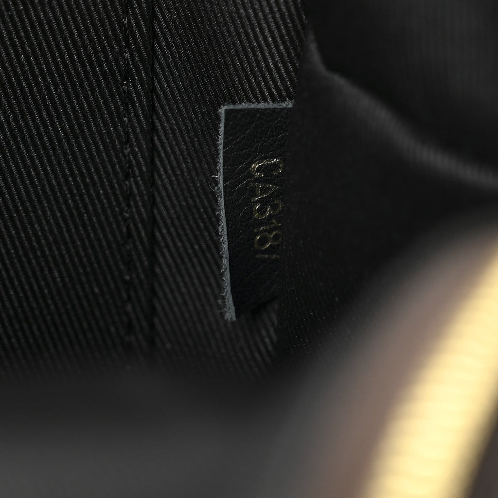 Monogram Palm Springs Backpack Mini