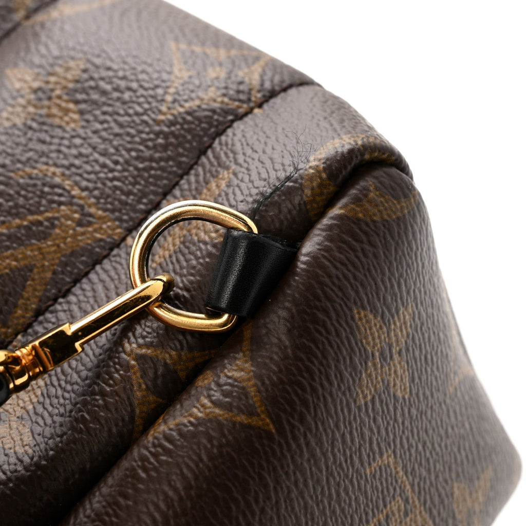 Monogram Palm Springs Backpack Mini