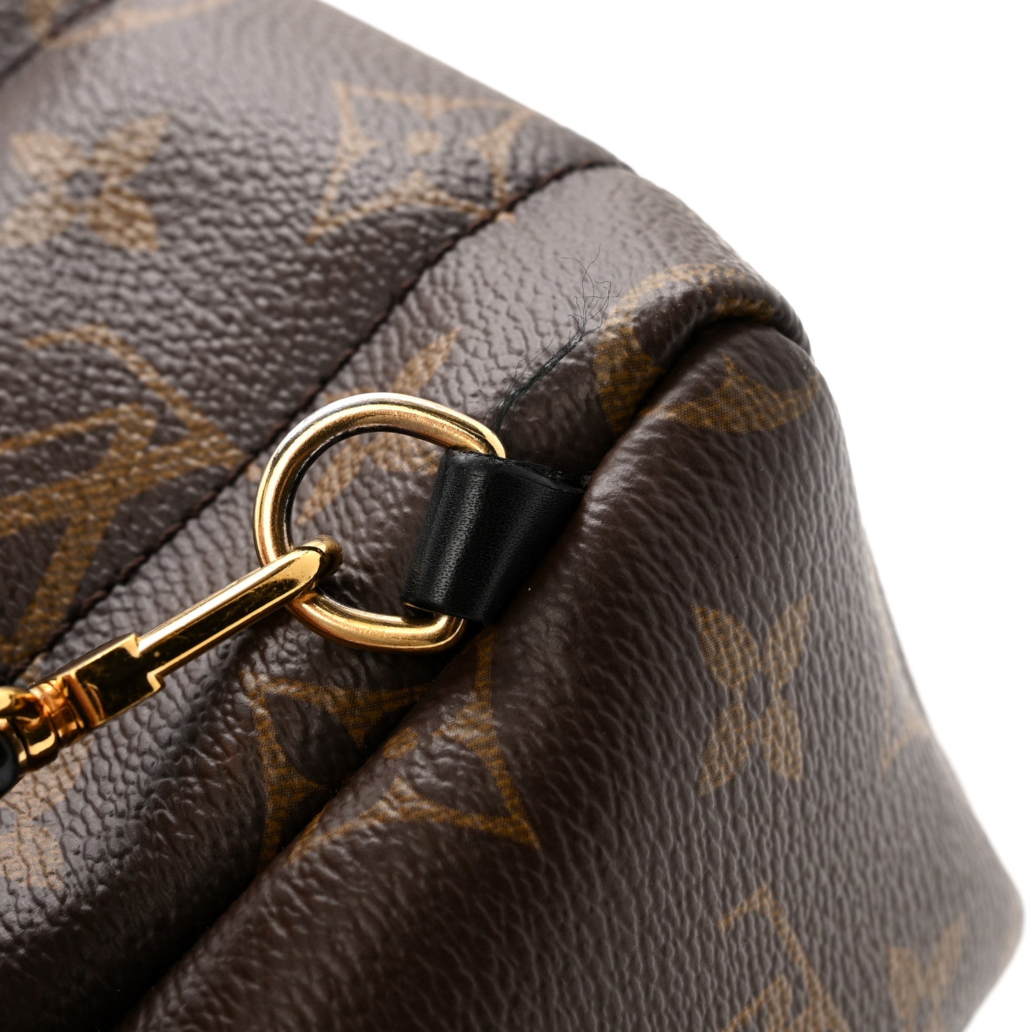 Monogram Palm Springs Backpack Mini