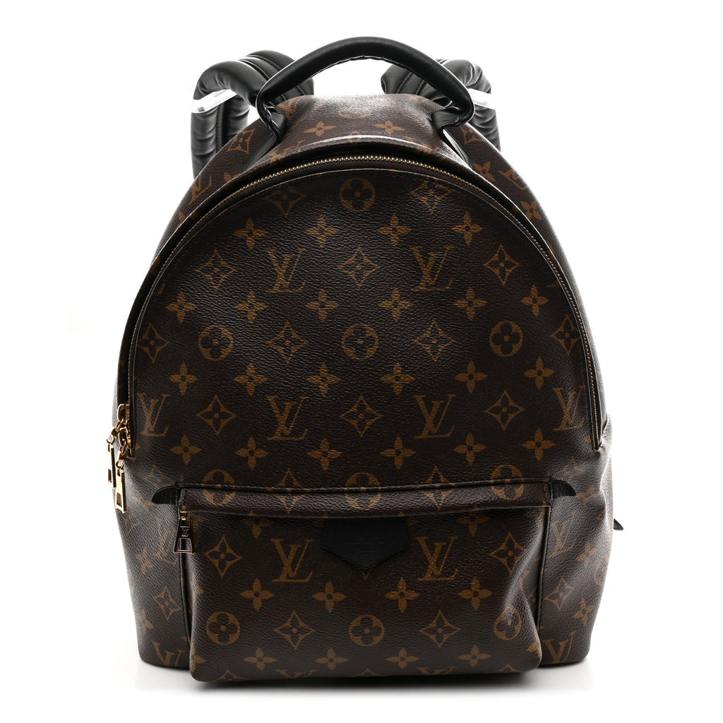 Monogram Palm Springs Backpack MM