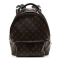 Monogram Palm Springs Backpack MM