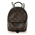 Monogram Palm Springs Backpack Mini
