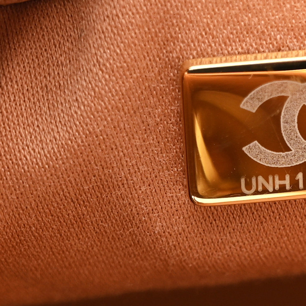 Caviar Quilted Small Chanel 25 Handbag Brown