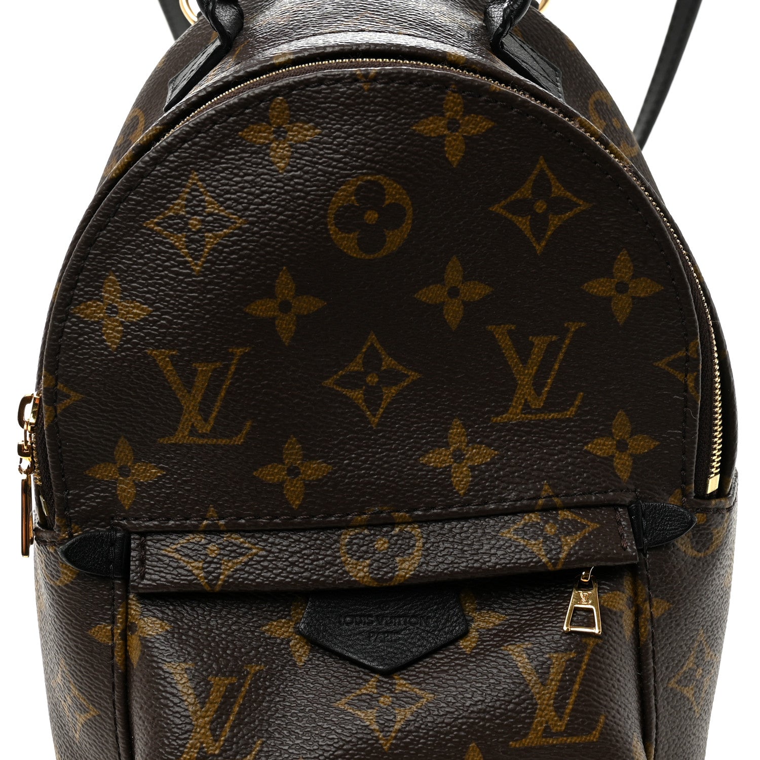 Monogram Palm Springs Backpack Mini