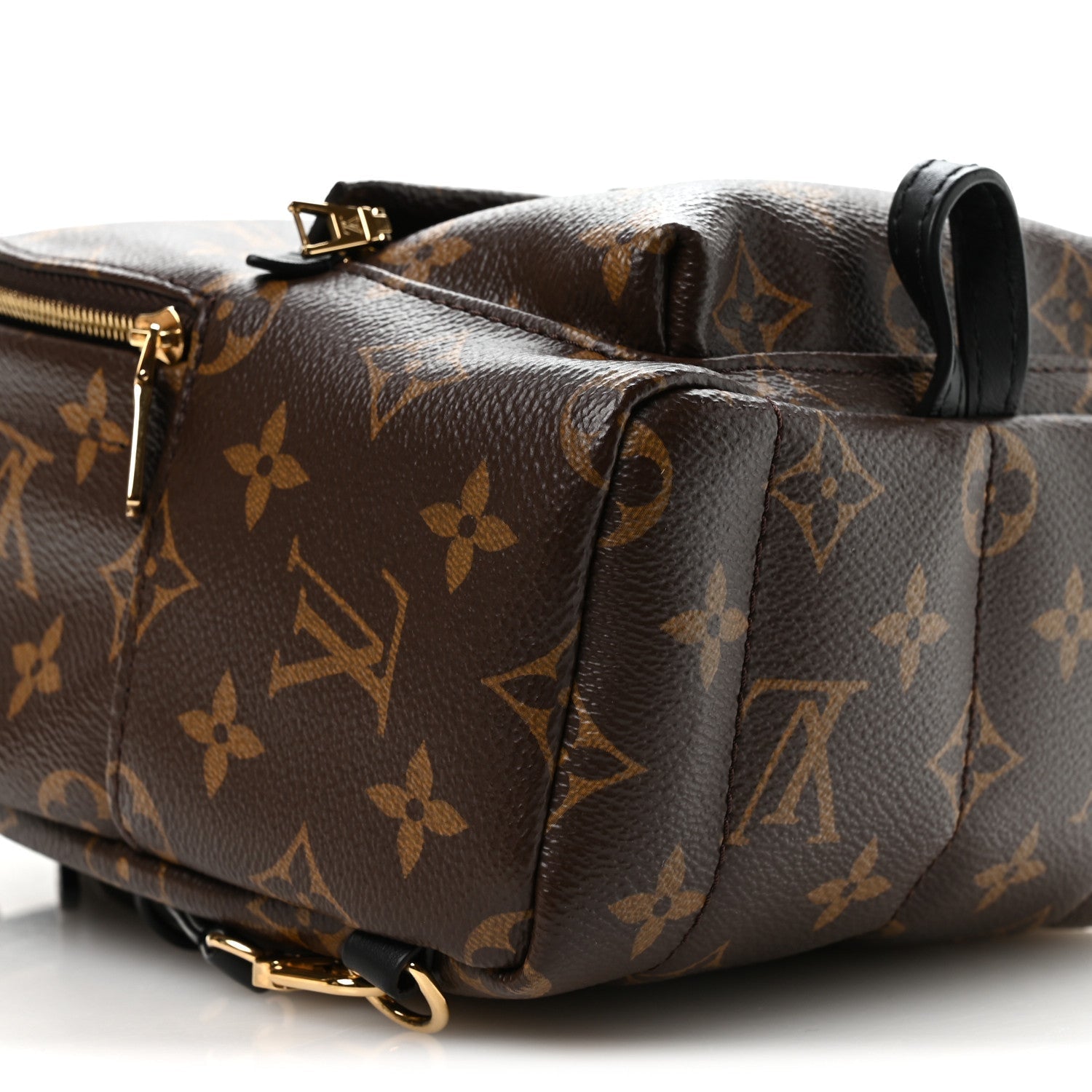 Monogram Palm Springs Backpack Mini