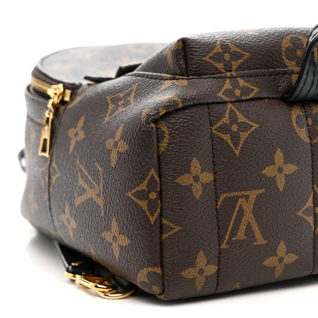 Monogram Palm Springs Backpack Mini