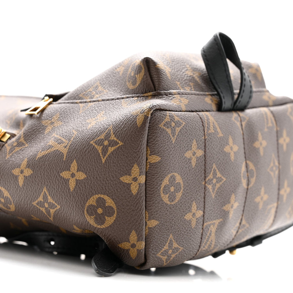 Monogram Palm Springs Backpack PM