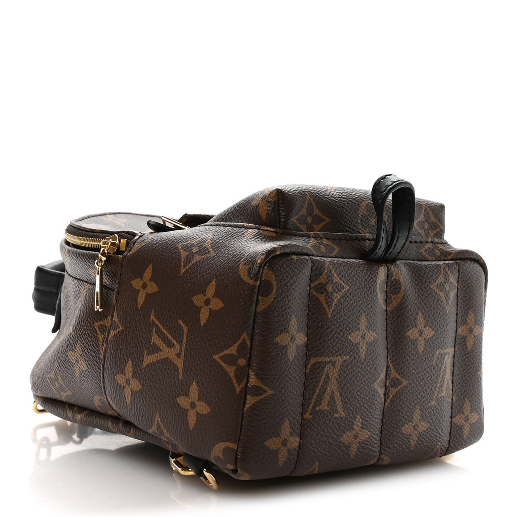 Monogram Palm Springs Backpack Mini