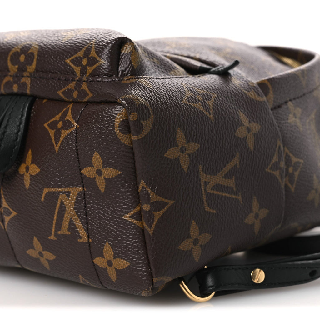 Monogram Palm Springs Backpack Mini