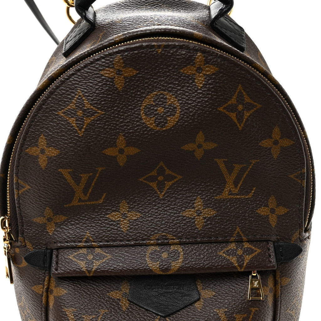Monogram Palm Springs Backpack Mini