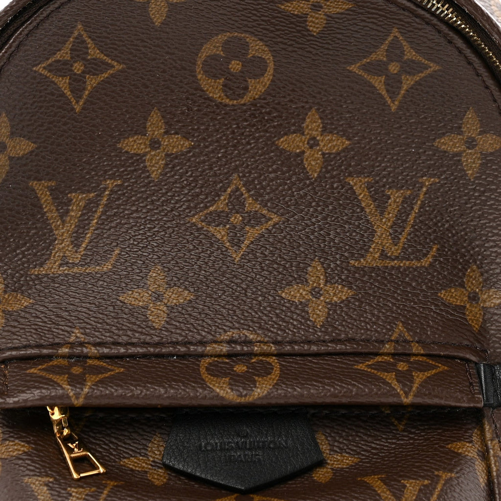 Monogram Palm Springs Backpack Mini