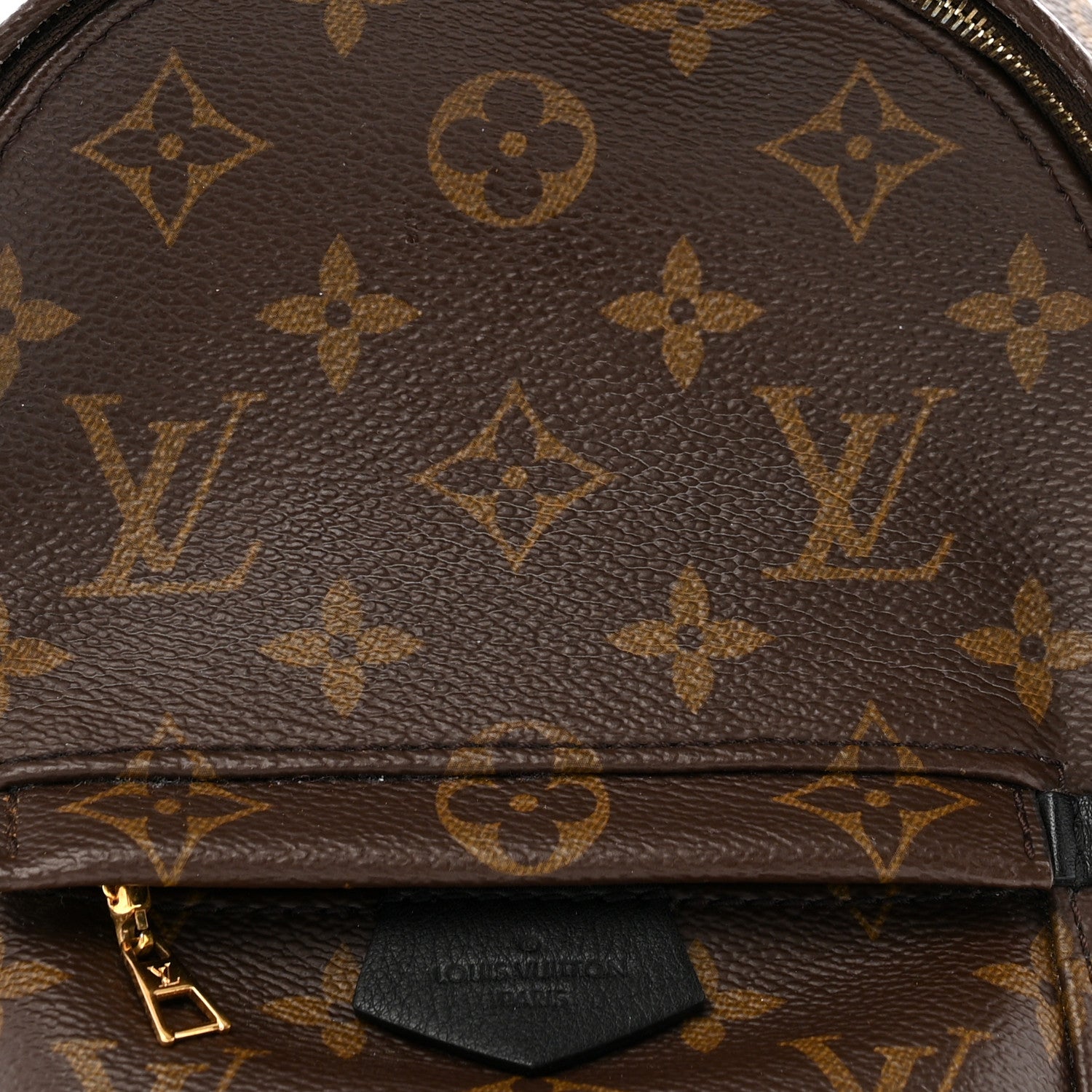Monogram Palm Springs Backpack Mini