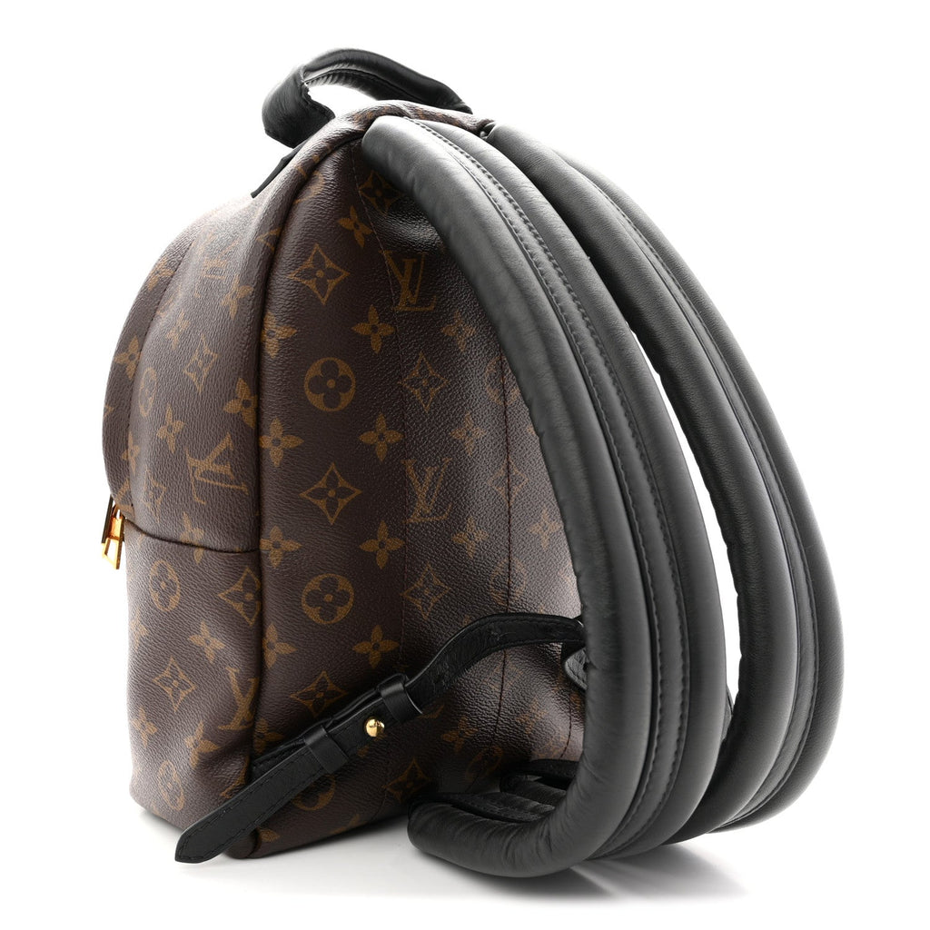 Monogram Palm Springs Backpack PM