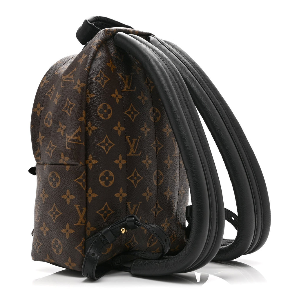 Monogram Palm Springs Backpack PM