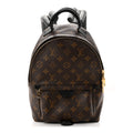 Monogram Palm Springs Backpack PM