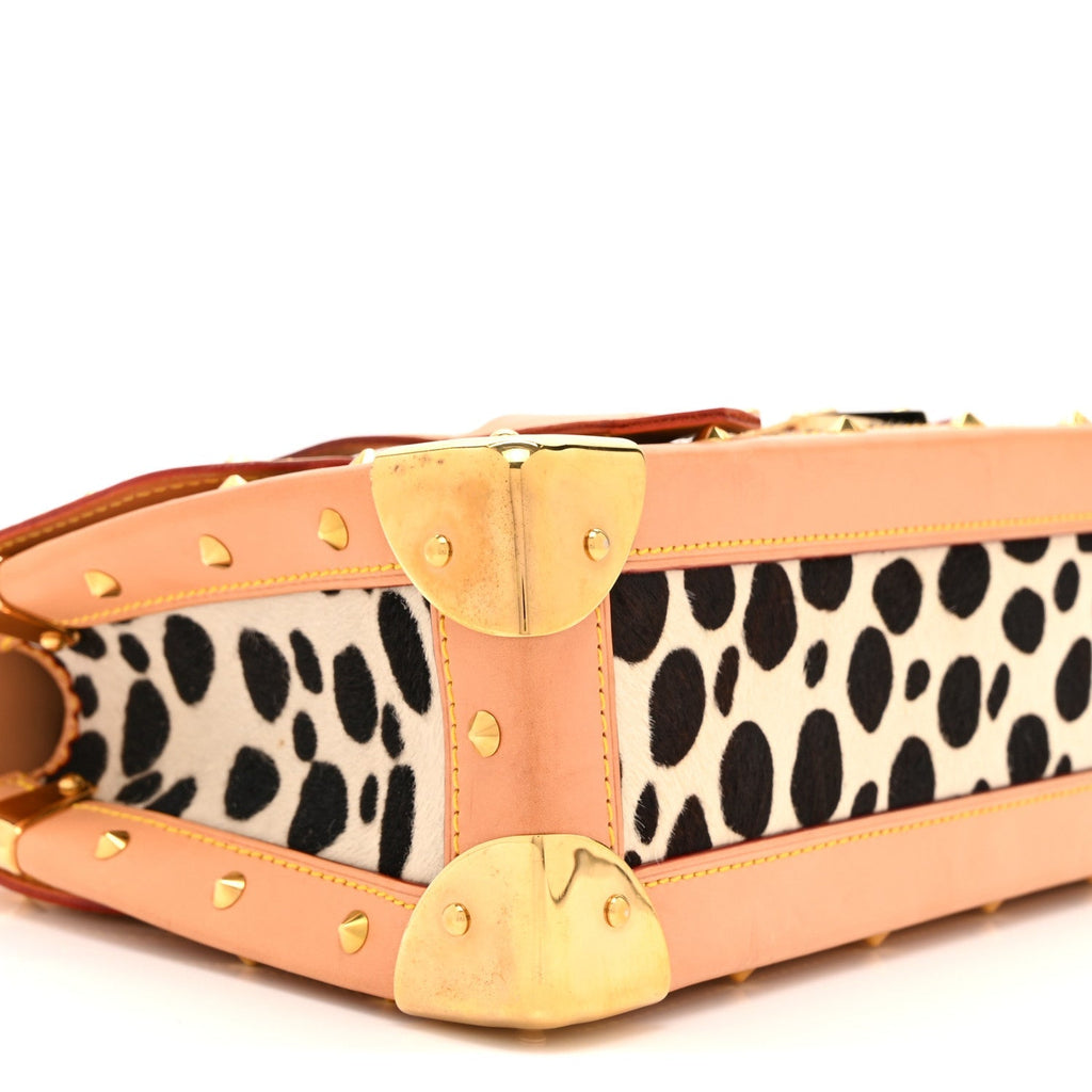 Monogram Multicolor Dalmatian Sac Rabat