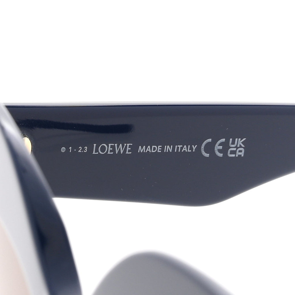 Acetate Anagram Cat Eye Sunglasses LW40127I Blue