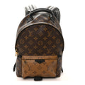 Reverse Monogram Palm Springs Backpack PM