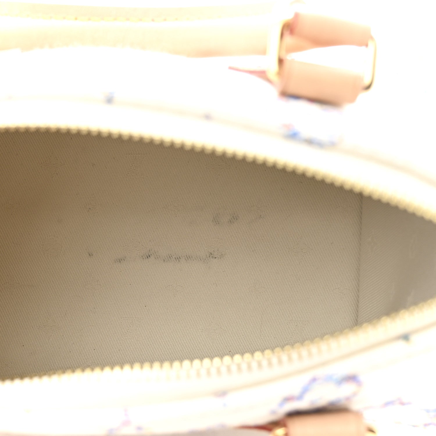 Monogram Jacquard Fabric Speedy Bandouliere 20 Multicolor Beige