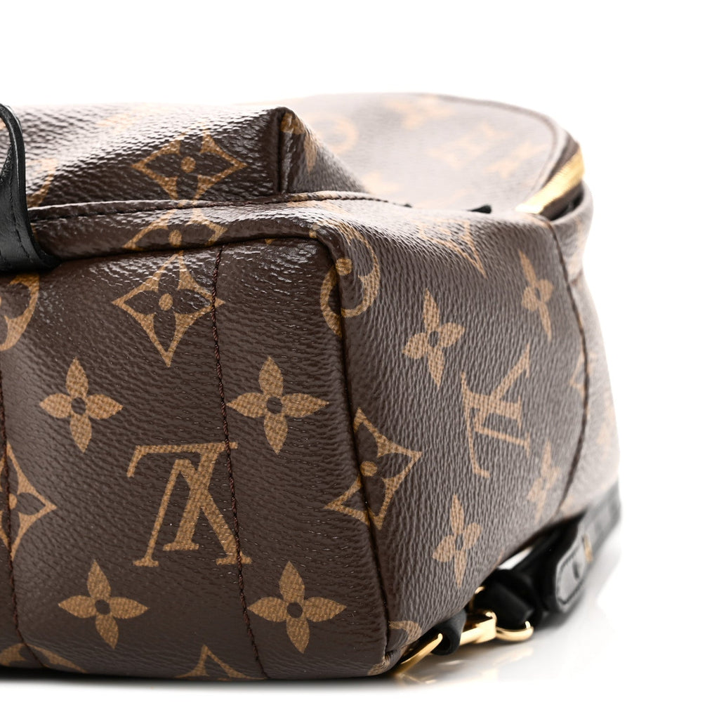 Monogram Palm Springs Backpack Mini
