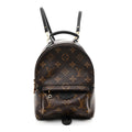 Monogram Palm Springs Backpack Mini
