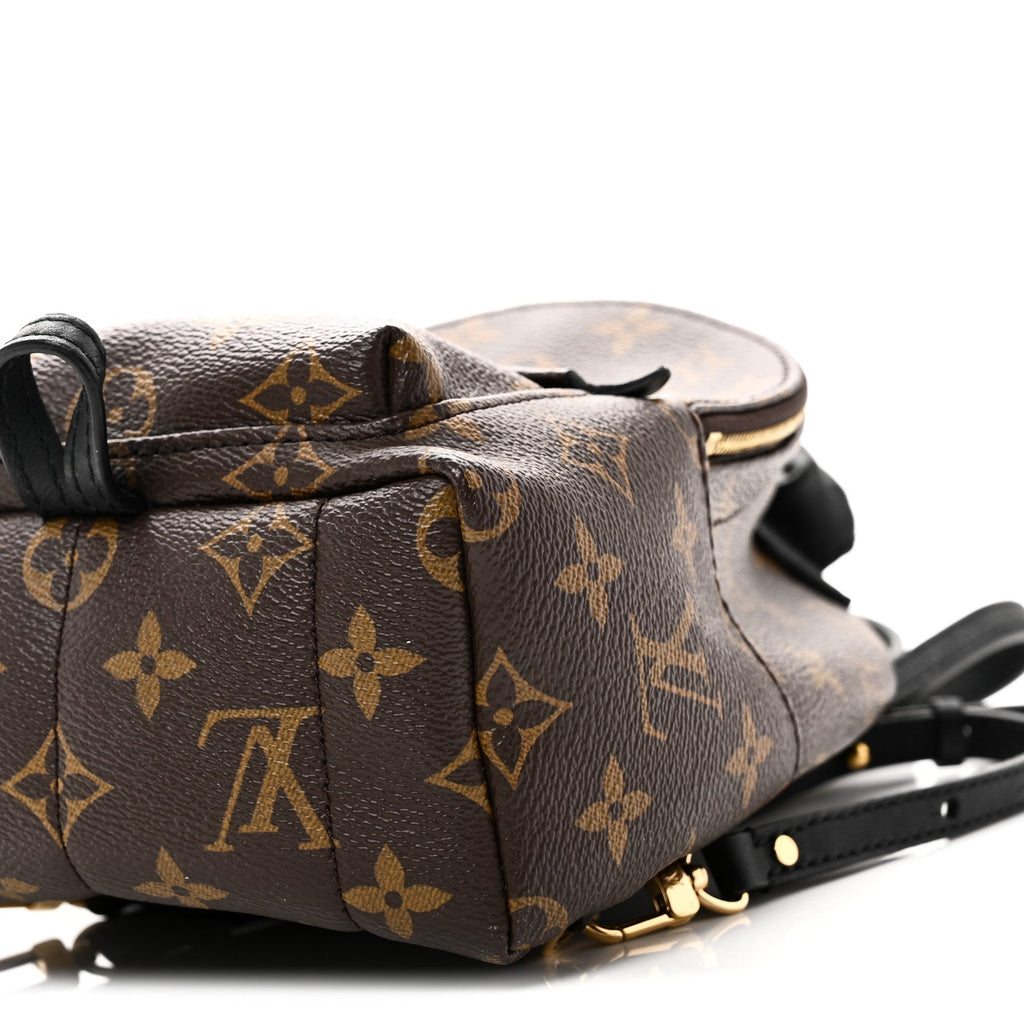 Monogram Palm Springs Backpack Mini