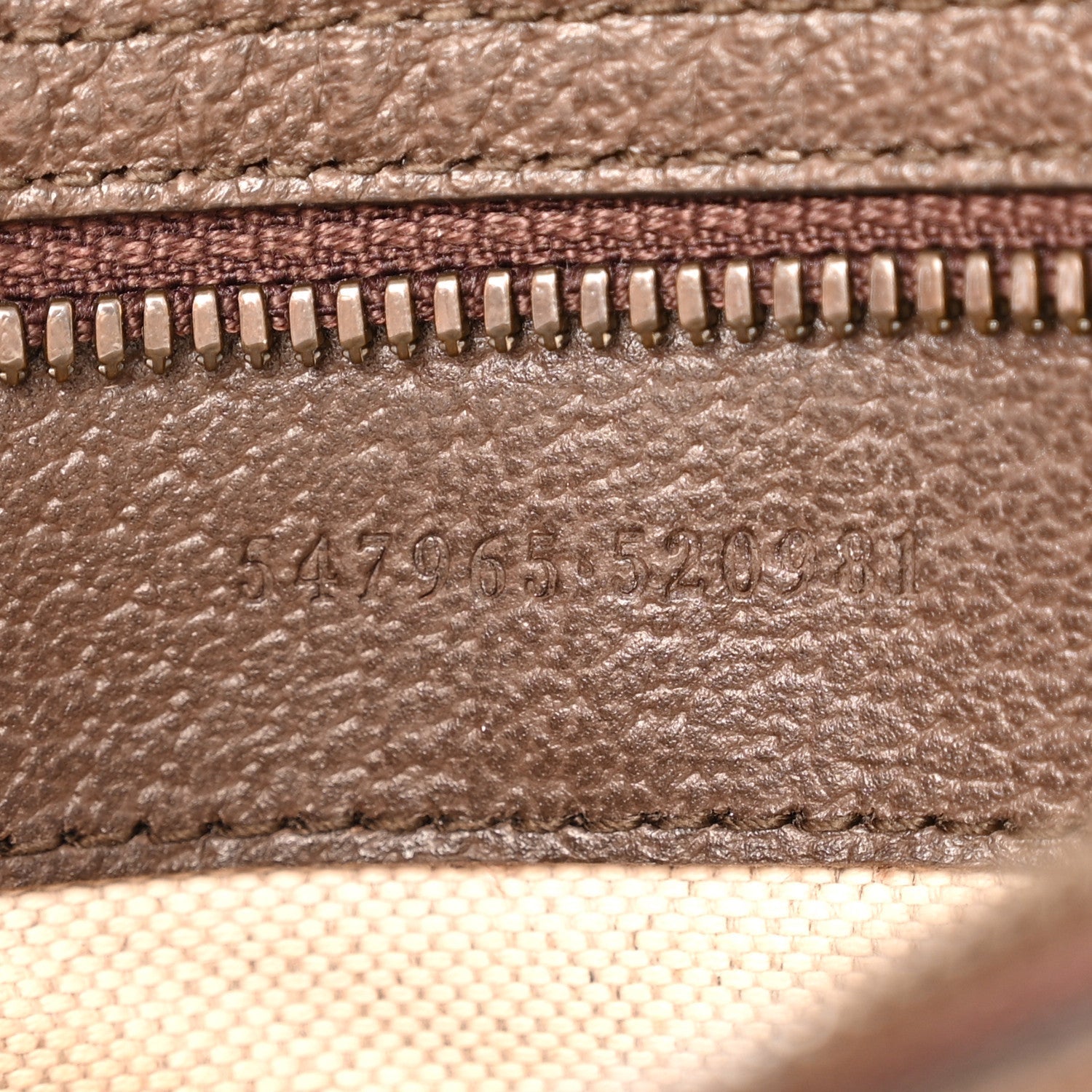 GG Supreme Monogram Textured Dollar Calfskin Web Small Ophidia Day Backpack Beige Ebony Fluorescent Fuchsia